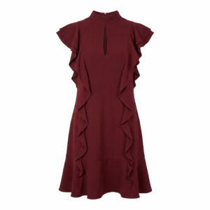 Burgundy A-Line Ruffled Dress - 38
